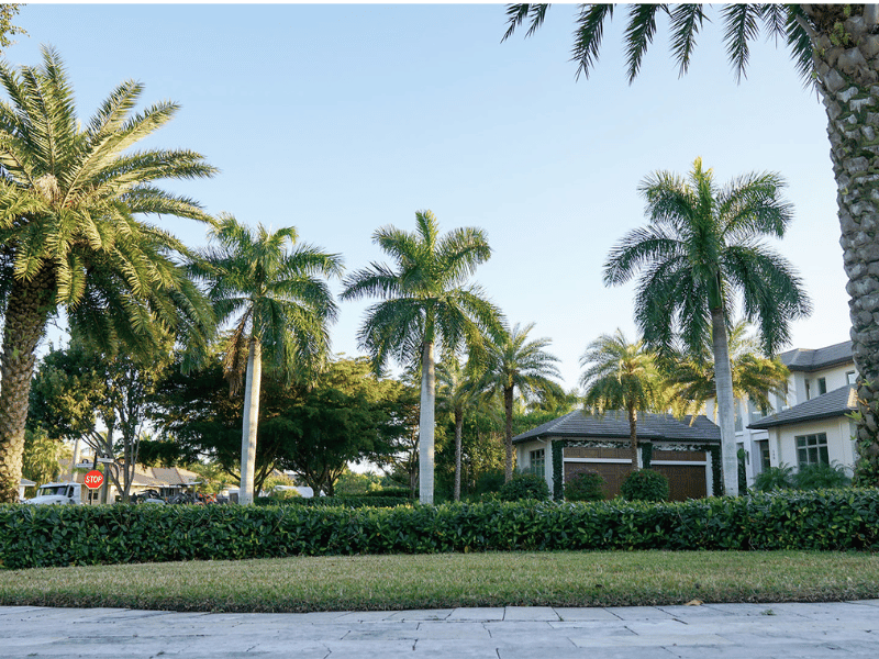 Pristine landscape maintenance Estate landscape maintenance in Naples by Executive Lawn Care