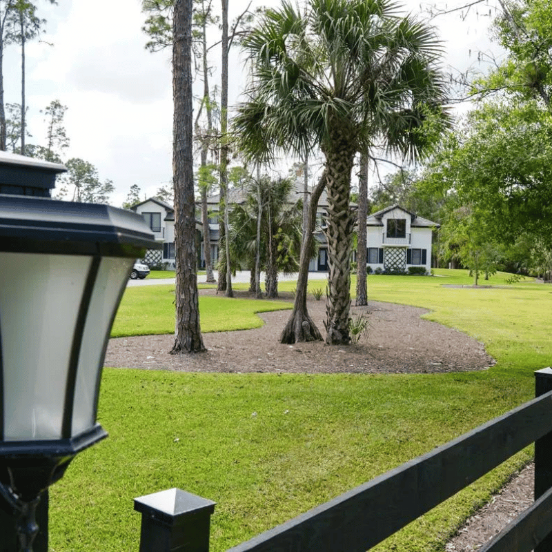 Neatly landscaped large lot Naples rural landscaping by Executive Lawn Care