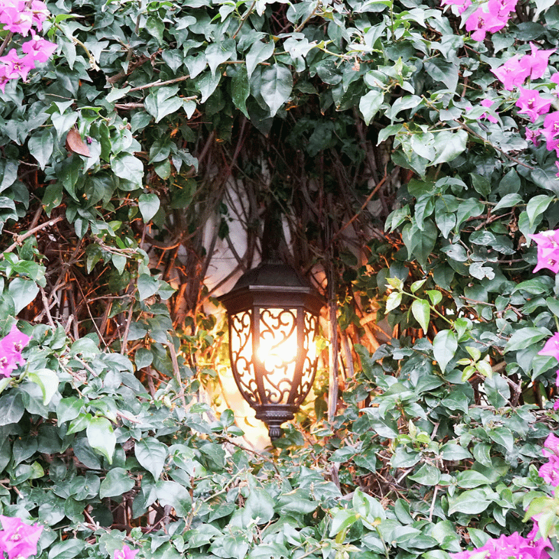Lamp nestled among ivy Creative landscape design Professional estate landscaping in Naples by Executive Lawn Care