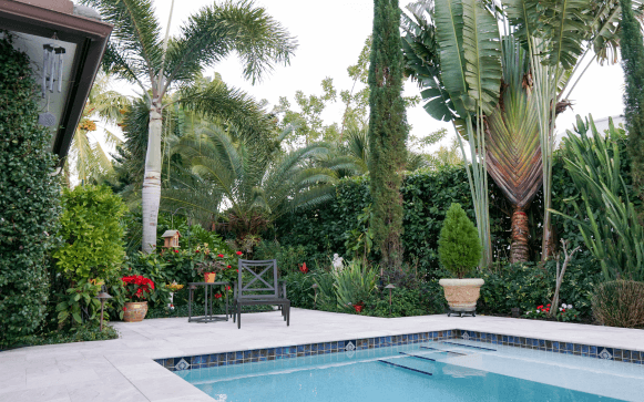 A beautifully landscaped pool area Pool and lanai area landscaping by Executive Lawn Care