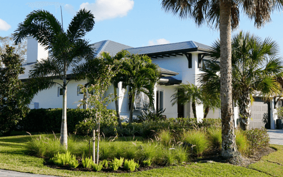 Redesigned planting area with native plants Landscape redesigns in Naples by Executive Lawn Care