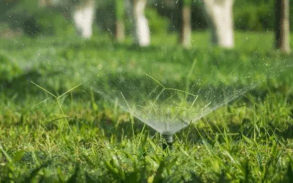Lawn irrigation Irrigation services in Naples by Executive Lawn Care