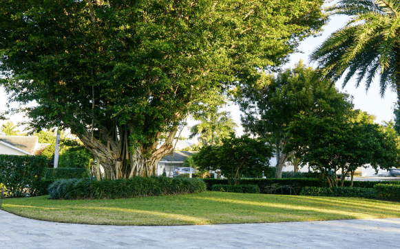 A perfectly mowed lawn Professional lawn care in Naples by Executive Lawn Care