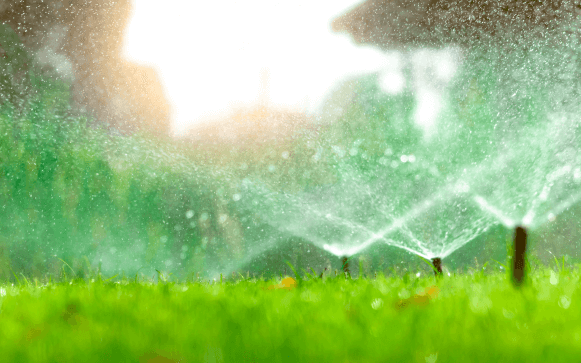 Professional irrigation installation in Naples by Executive Lawn Care