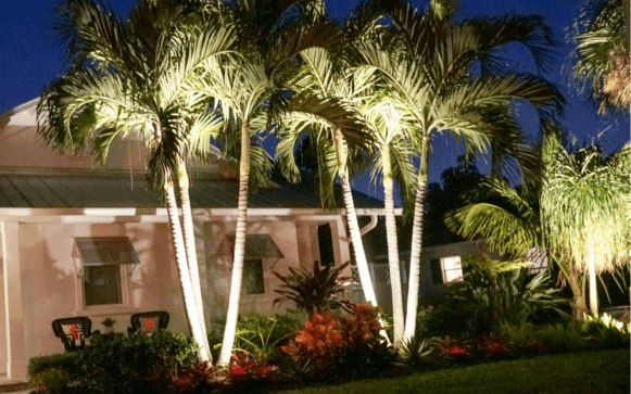 Landscape Accent Lighting Landscape accent lighting in Naples by Executive Lawn Care